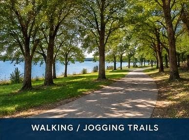 Paved recreational pathway lined with mature trees, situated alongside a body of water