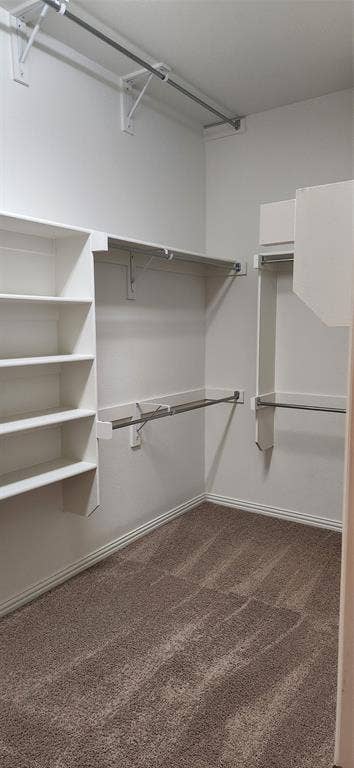 Master Bedroom Closet View 2