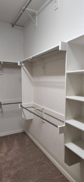 Master Bedroom Closet View 1