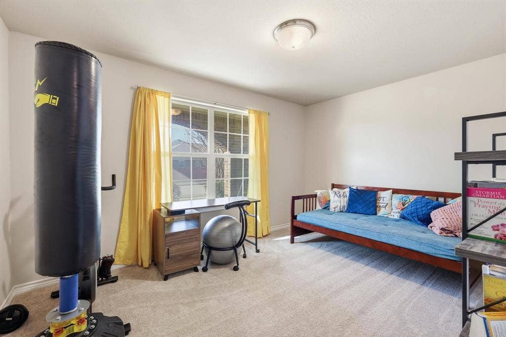 Carpeted room with a window, ceiling-mounted light fixture, and neutral wall tones