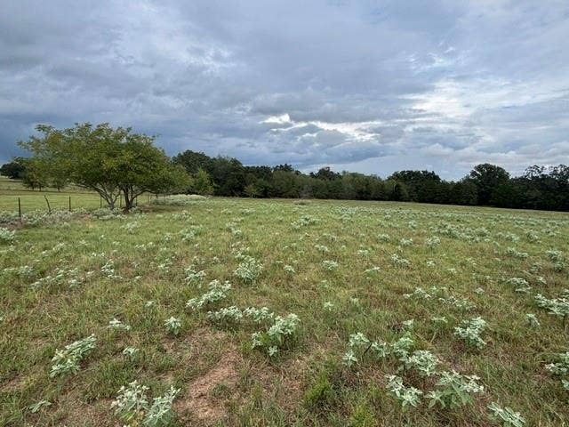 TBD FM 2709, Eustace, TX 75124 TBD FM 2709, Eustace, TX 75124