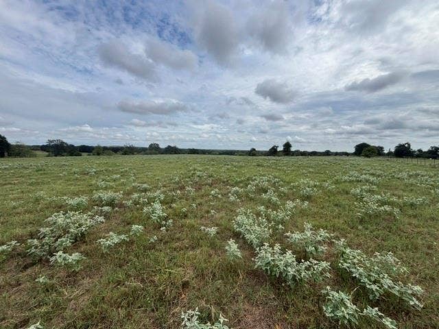 TBD FM 2709, Eustace, TX 75124 TBD FM 2709, Eustace, TX 75124