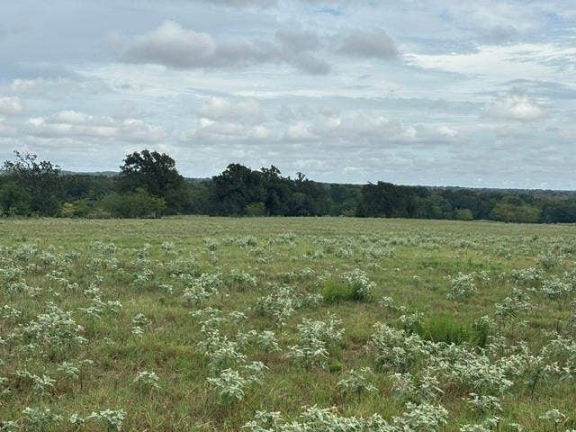 TBD FM 2709, Eustace, TX 75124 TBD FM 2709, Eustace, TX 75124