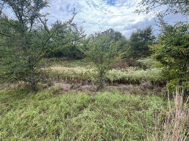 TBD FM 2709, Eustace, TX 75124 TBD FM 2709, Eustace, TX 75124