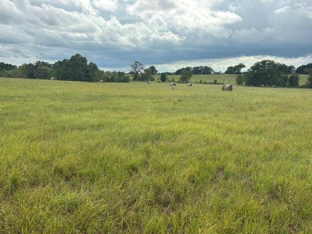 TBD FM 2709, Eustace, TX 75124 Pasture