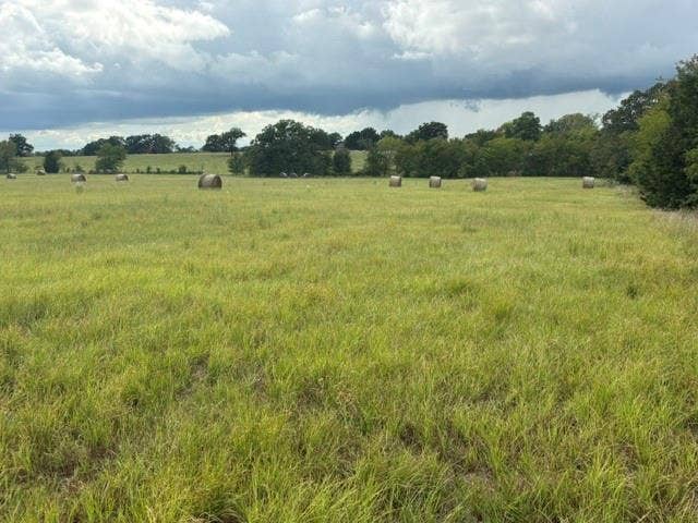 TBD FM 2709, Eustace, TX 75124 TBD FM 2709, Eustace, TX 75124