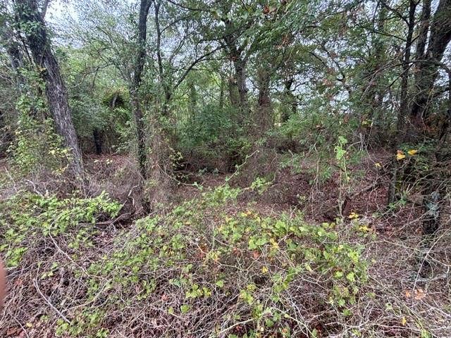 TBD FM 2709, Eustace, TX 75124 TBD FM 2709, Eustace, TX 75124