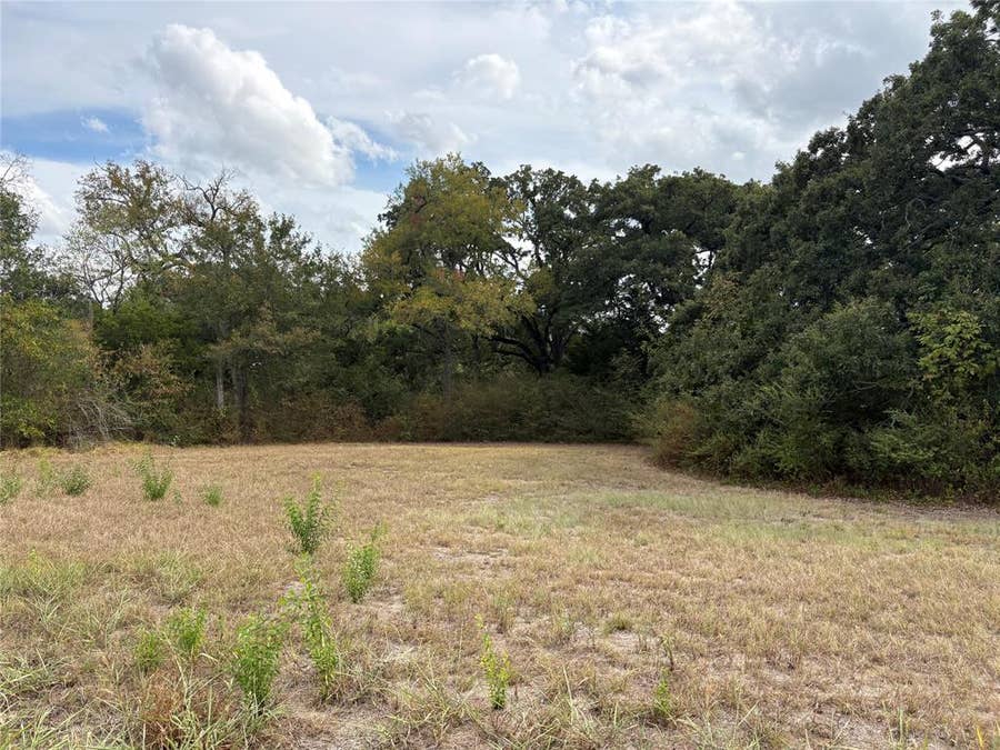 Property photo for .62 ac Sycamore Street, Commerce, TX