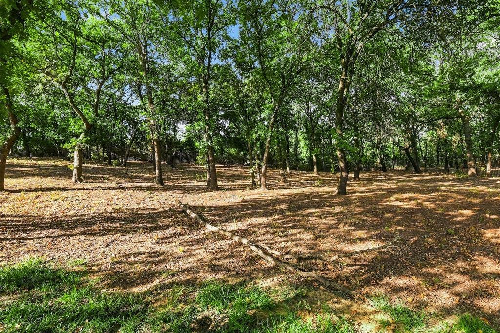 Wooded terrain with mature deciduous trees