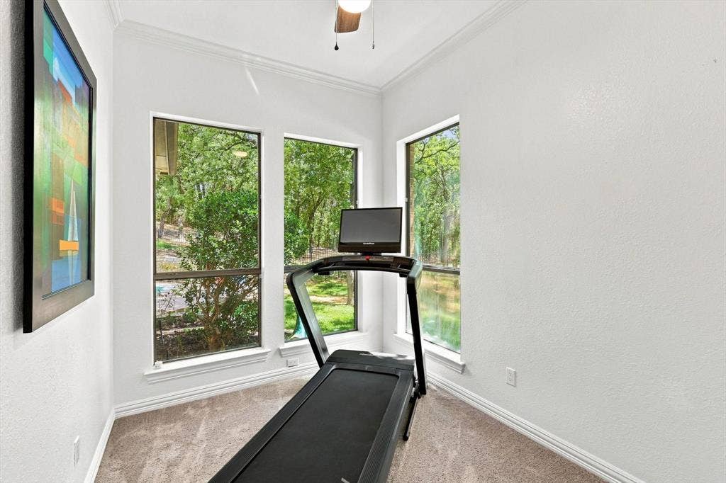 Recessed corner with three tall windows, crown molding, and carpet flooring