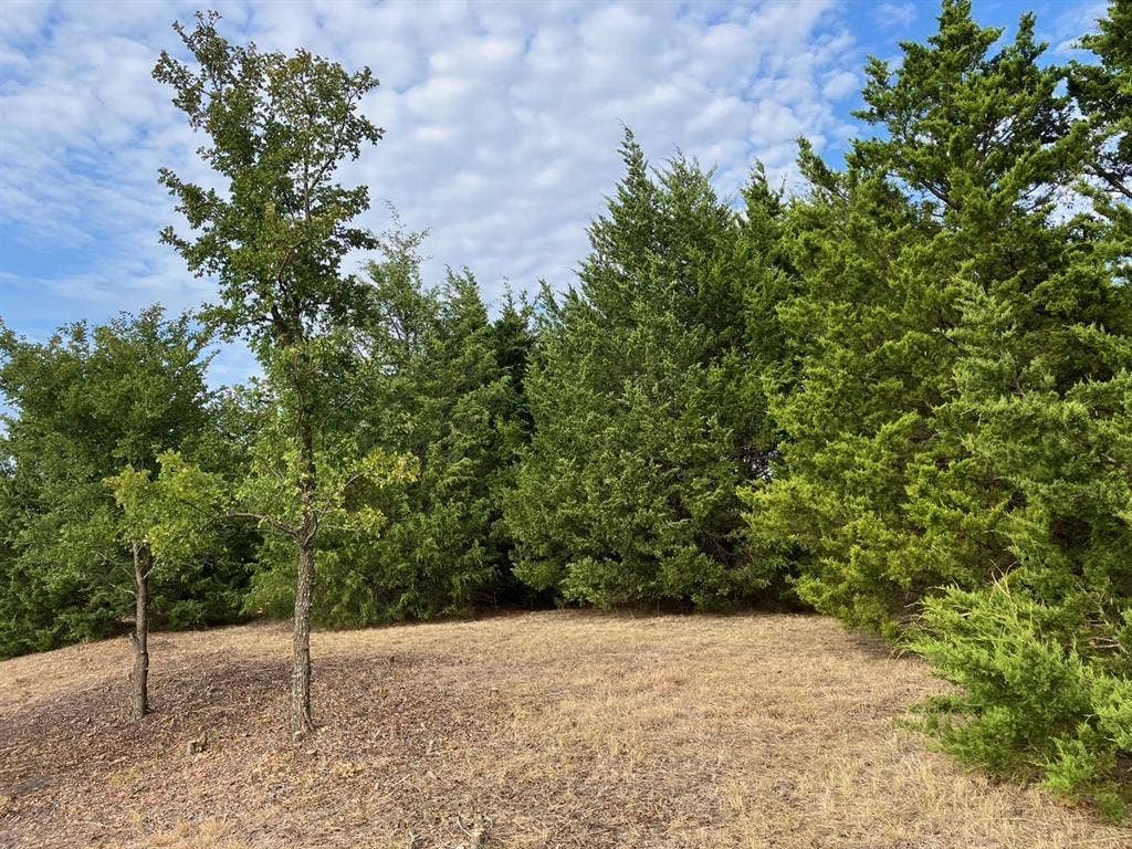 TBD County Road 670, Blue Ridge, TX 75424 TBD County Road 670, Blue Ridge, TX 75424
