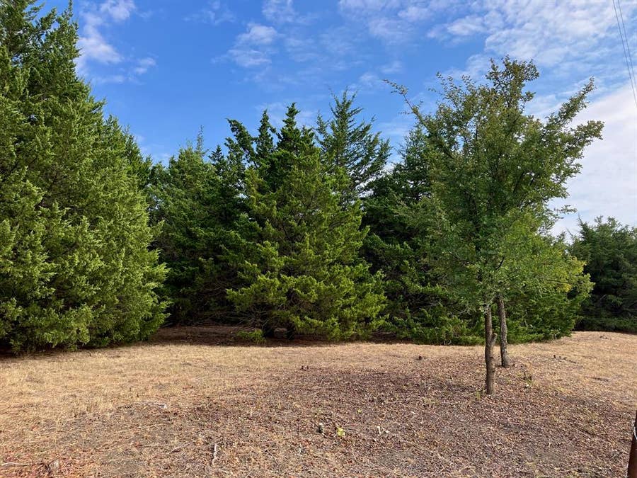 Property photo for TBD County Road 670, Blue Ridge, TX