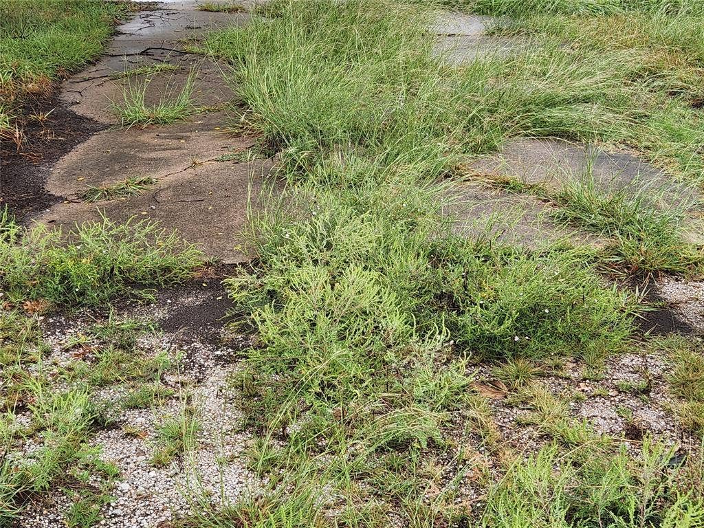 1513 S Fm 1138, Royse City, TX 75189 Part of the parking pad and old driveway
