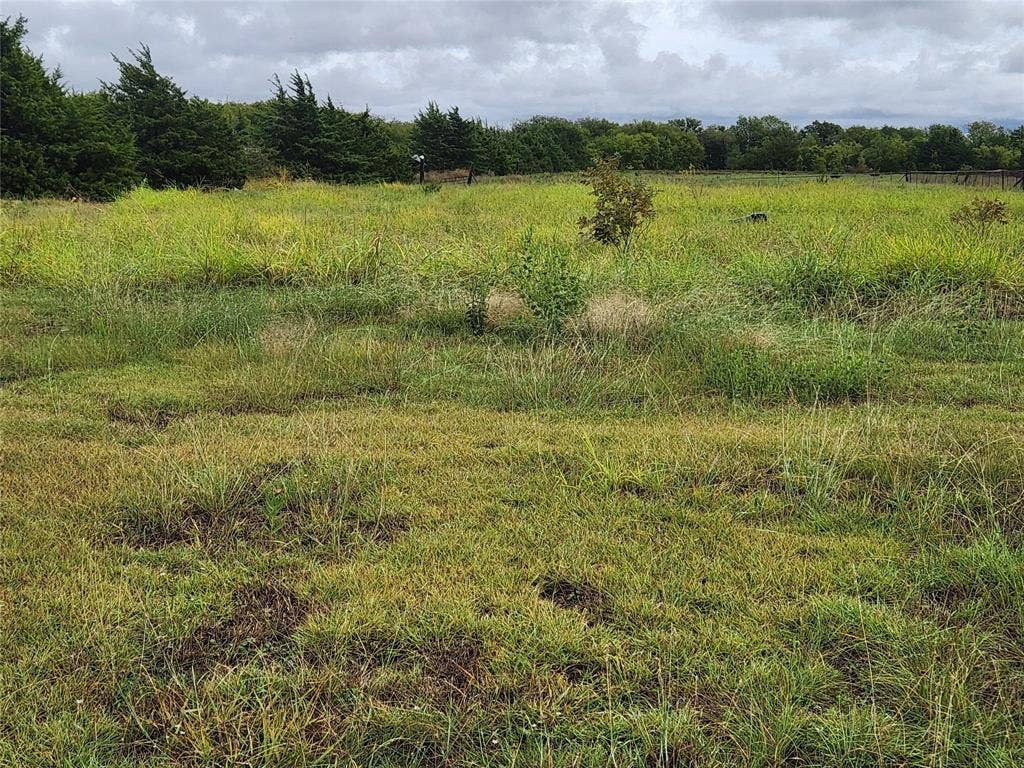 1513 S Fm 1138, Royse City, TX 75189 View looking towards the back of the property.