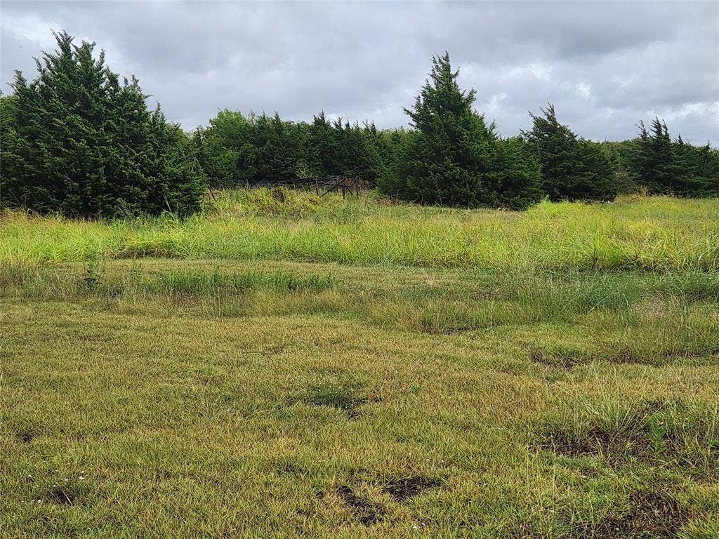 1513 S Fm 1138, Royse City, TX 75189 Rolling pasture and grassy land.