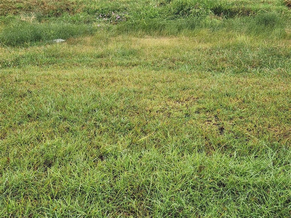 1513 S Fm 1138, Royse City, TX 75189 Flat, grassy, easy to walk property.