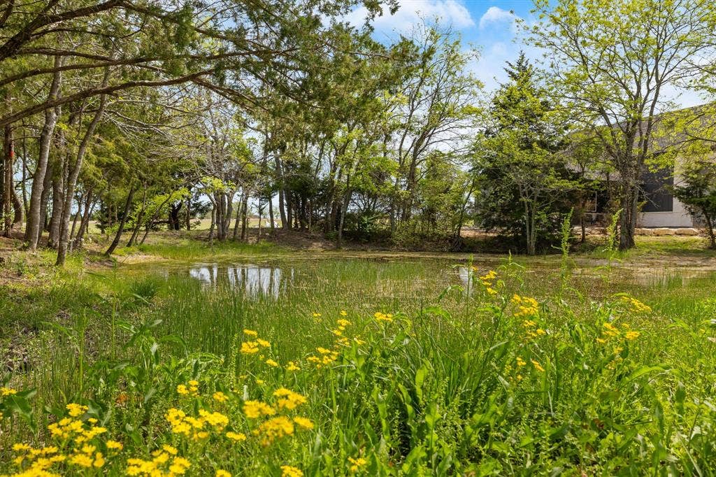 313 Ryker Lane, Gunter, TX 75058