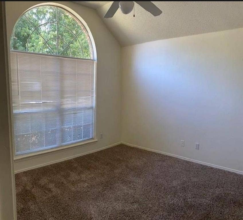 Room featuring vaulted ceilings, a large arched window with horizontal blinds, and wall-to-wall carpeting, complemented by a ceiling fan