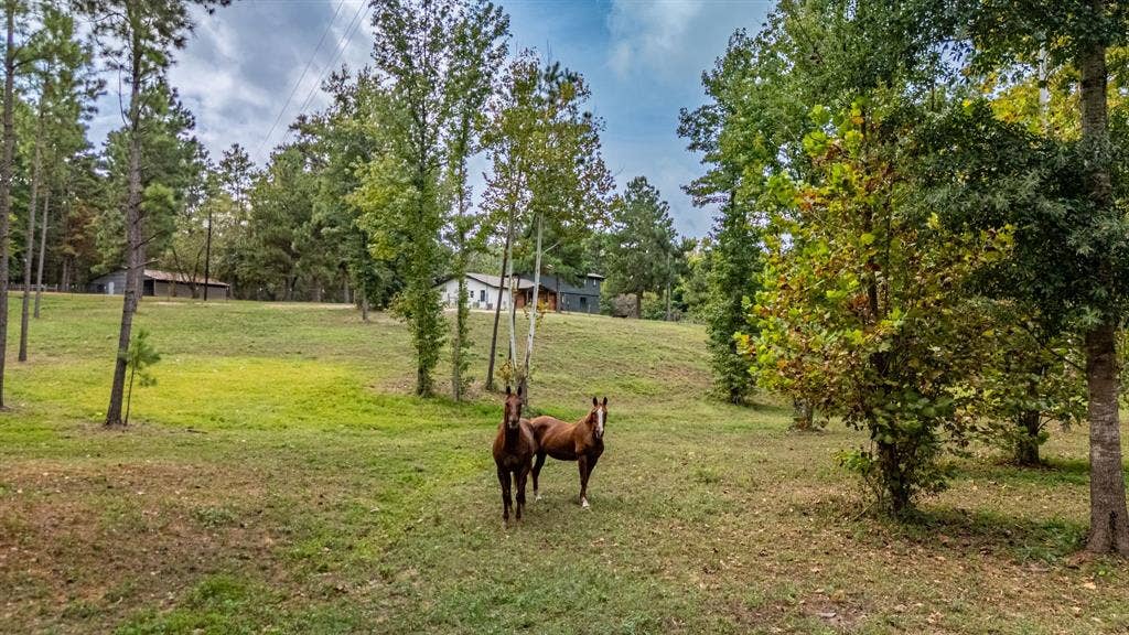 6411 Fm 23 W, Rusk, TX 75785