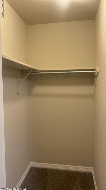 Walk-in closet featuring an integrated shelf, hanging rod, and carpet flooring