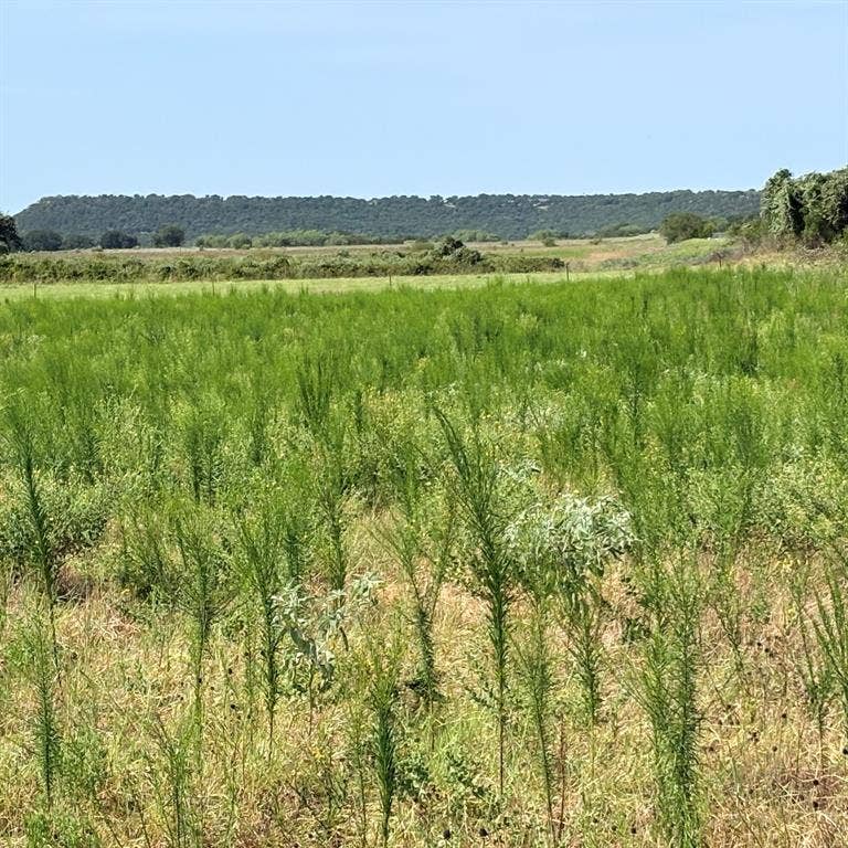 Property photo for tbd keller, Mineral Wells, TX