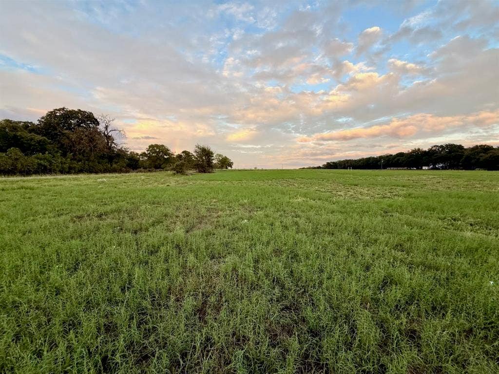 TBD MARY WARE, Waco, TX 76705 Expansive land featuring green foliage and distant mature trees