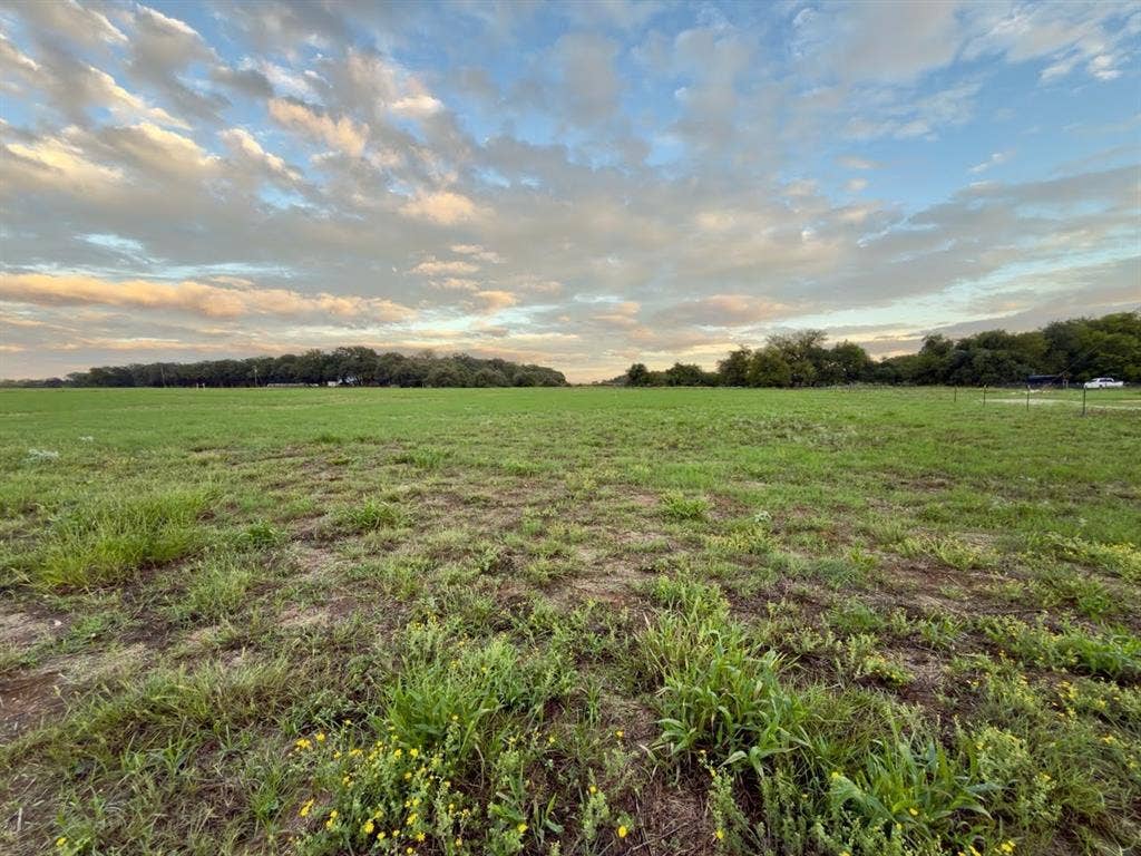 TBD MARY WARE, Waco, TX 76705 Expansive green field with natural ground cover, bordered by mature trees