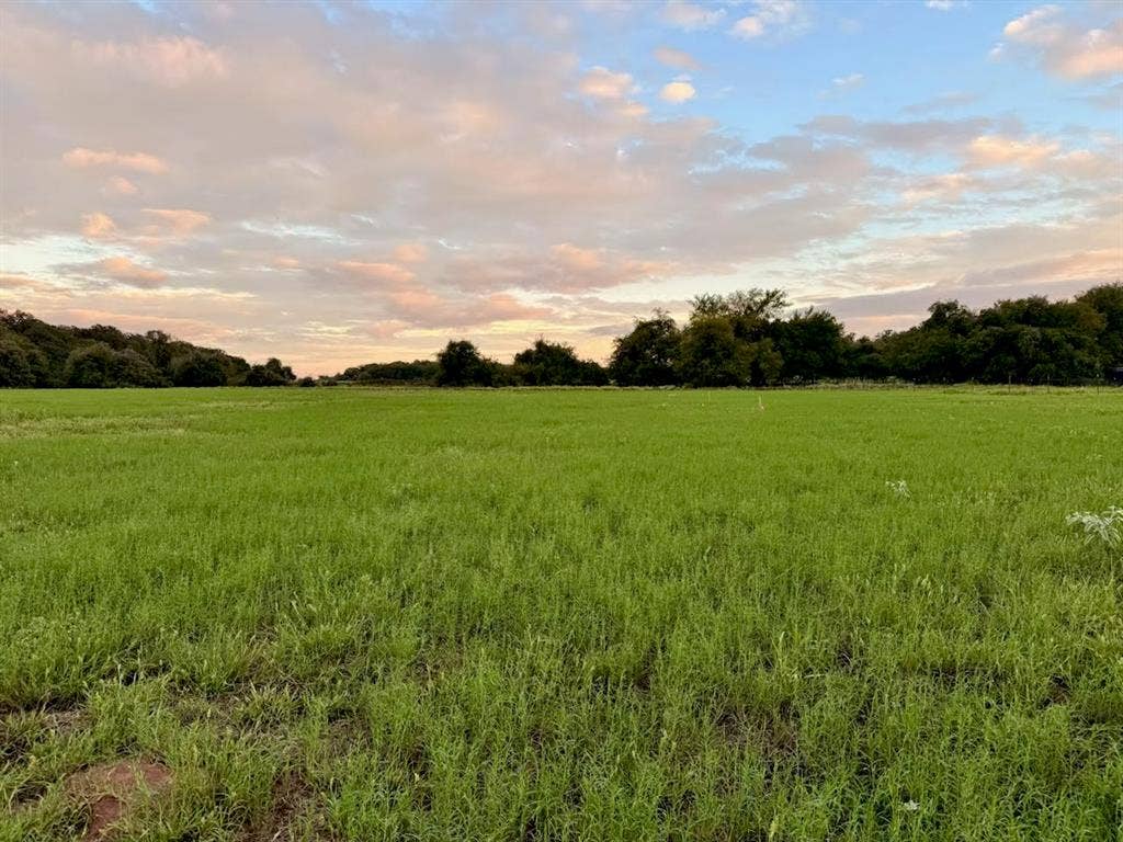 TBD MARY WARE, Waco, TX 76705 Expansive open field with green ground cover and a tree line in the distance