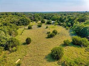6630 Prather Road, Springtown, TX 76082 Expansive natural landscape featuring a mix of open grassy areas and dense tree coverage