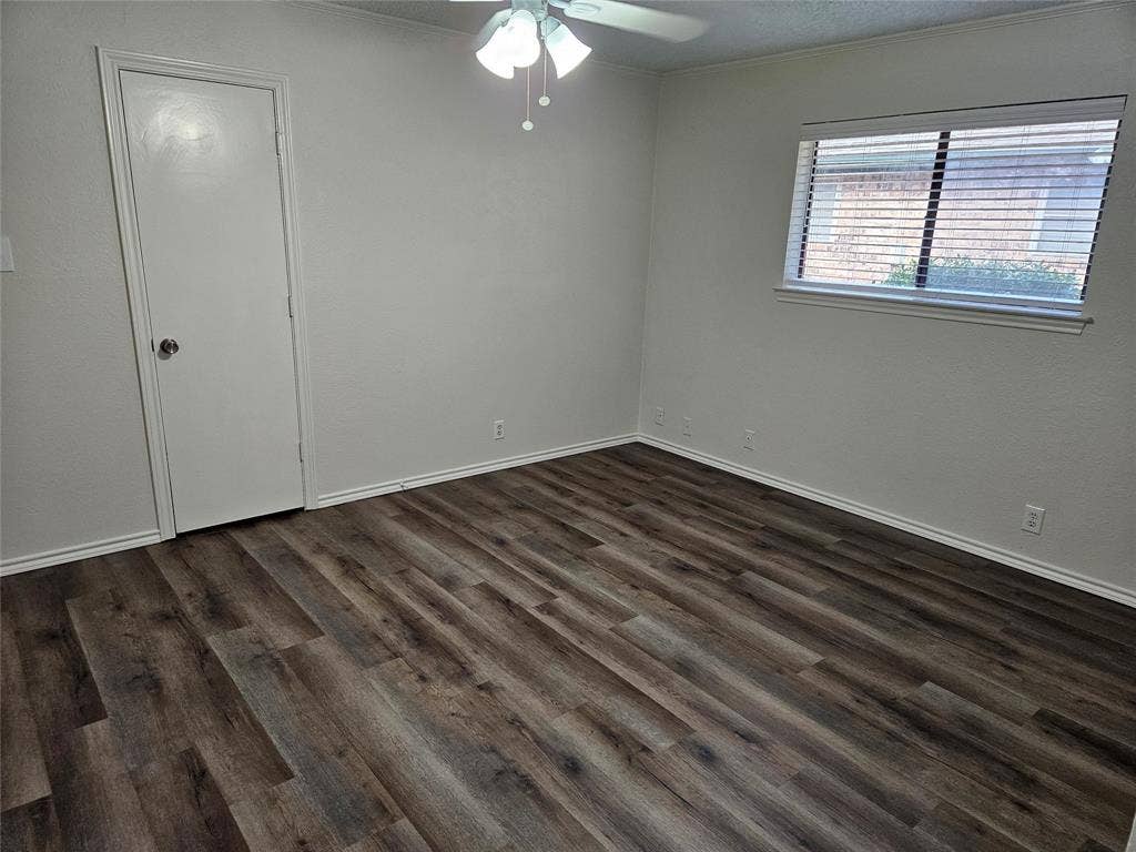 Looking to entry