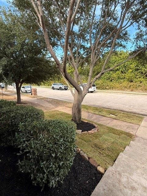 2245 Colby Lane, Wylie, TX 75098 2245 Colby Lane, Wylie, TX 75098