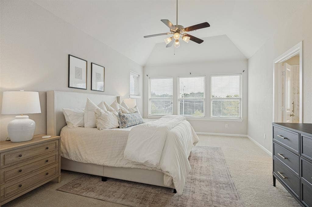 Vaulted ceiling - light and bright