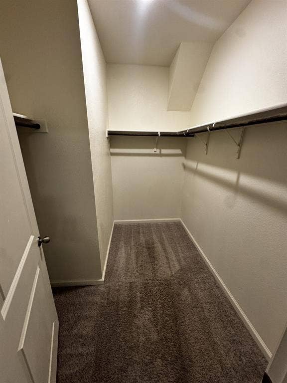 1813 Chapel Hill Road, Princeton, TX 75407 Walk-in closet with integrated shelving and hanging rods
