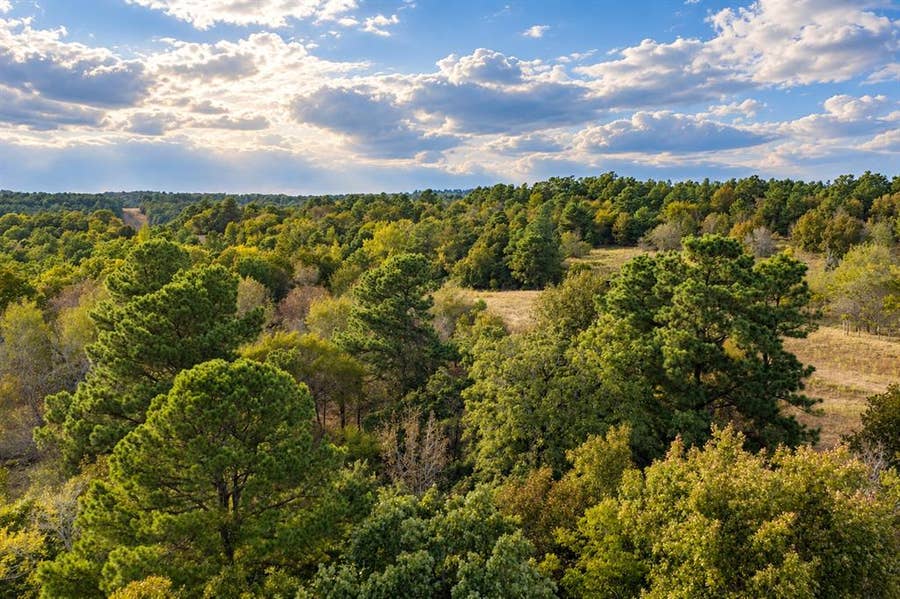 Property photo for 00 Off of County Road 448, Palestine, TX