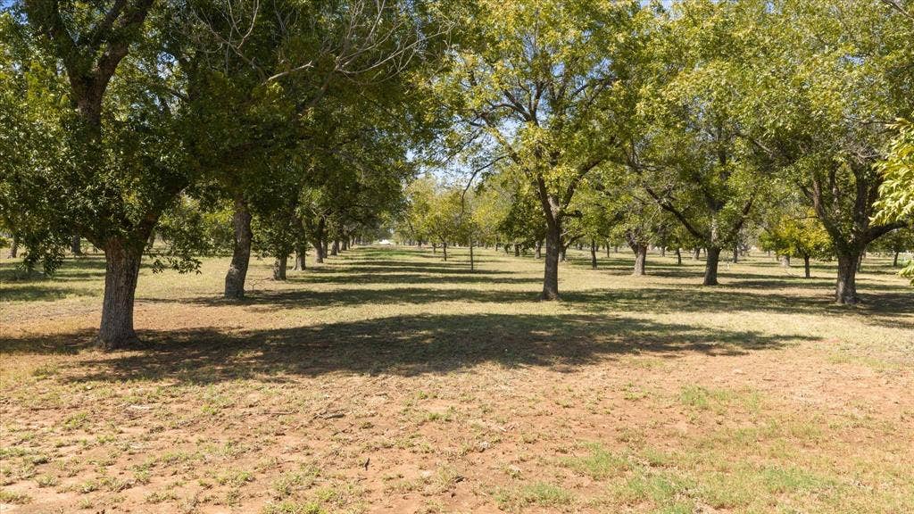 2013 Skylane Drive, Granbury, TX 76049 Expansive acreage featuring mature trees and open grounds