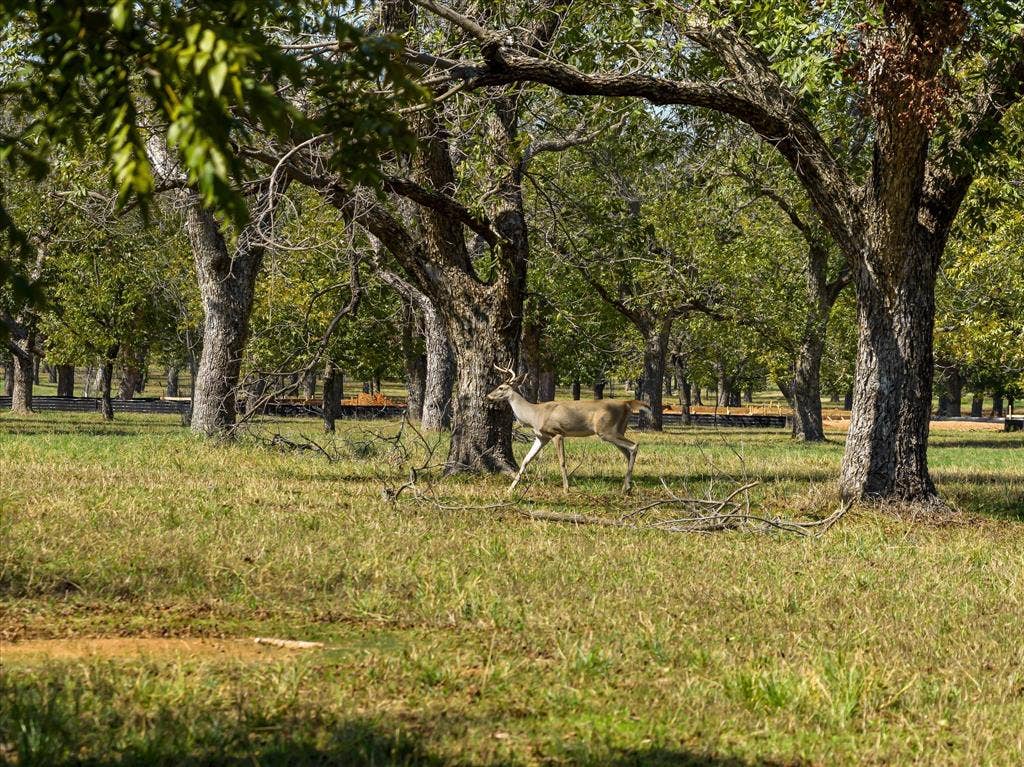 2013 Skylane Drive, Granbury, TX 76049 2013 Skylane Drive, Granbury, TX 76049