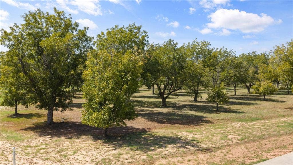 2013 Skylane Drive, Granbury, TX 76049 Expansive acreage featuring mature hardwood trees and open grounds
