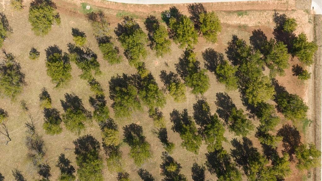 2013 Skylane Drive, Granbury, TX 76049 Aerial perspective of a parcel featuring mature trees, native vegetation, and unpaved roadway access
