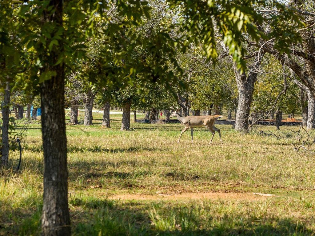 2013 Skylane Drive, Granbury, TX 76049 2013 Skylane Drive, Granbury, TX 76049