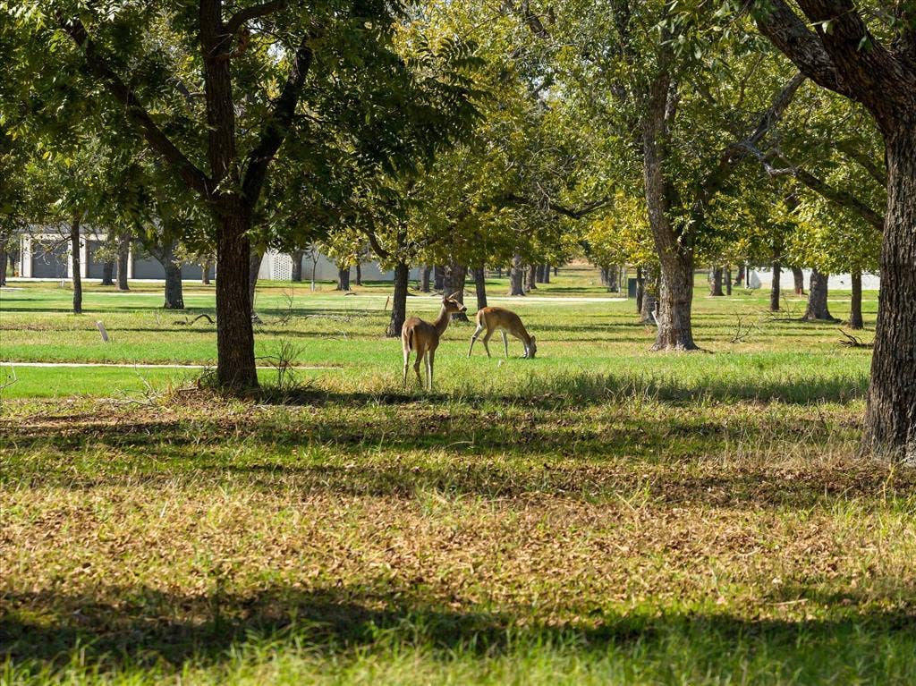 2013 Skylane Drive, Granbury, TX 76049 Expansive grounds featuring mature shade trees and open green space