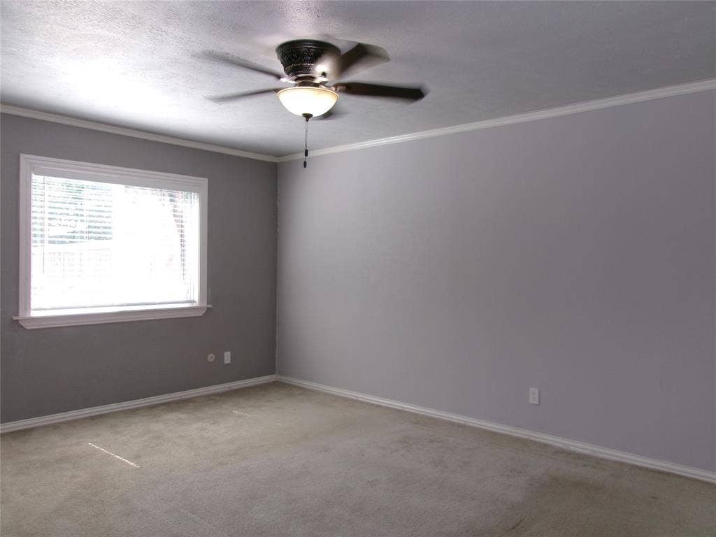 665 Stonewall Drive, Grand Prairie, TX 75052 Carpet flooring, gray painted walls, window with white trim, ceiling fan with light fixture, and white crown molding