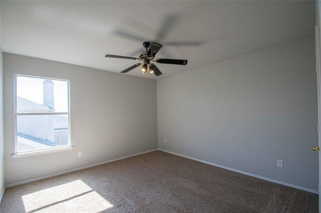 Ceiling fan with integrated lighting, neutral wall finishes, carpeted flooring, and a single window