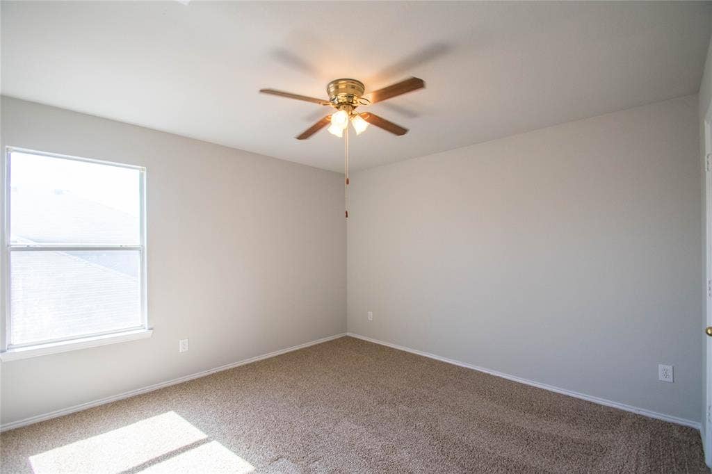 Neutral wall finishes, carpet flooring, a ceiling fan with integrated lighting, and a single window