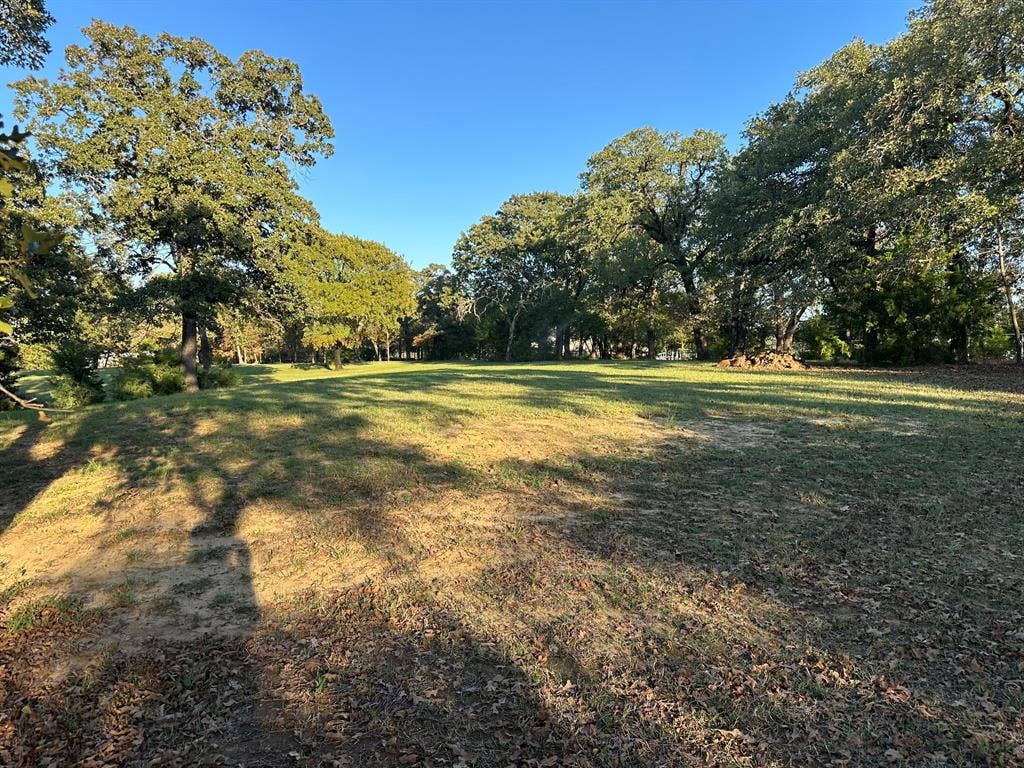2300 Spring Mountain Road, Cross Roads, TX 76227 Expansive grassy area surrounded by mature trees