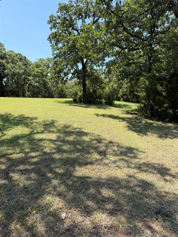 2300 Spring Mountain Road, Cross Roads, TX 76227 Expansive grassy area with mature trees and natural landscaping