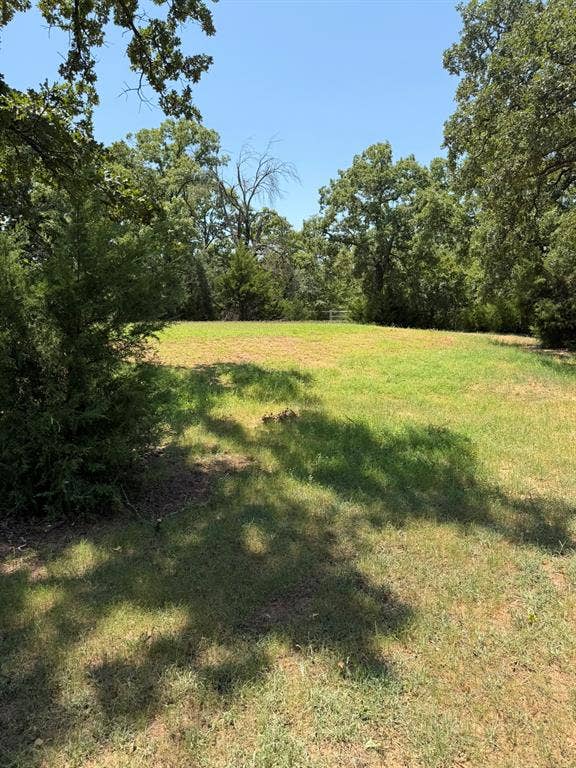 2300 Spring Mountain Road, Cross Roads, TX 76227 Expansive clearing with natural tree surroundings and varied green foliage