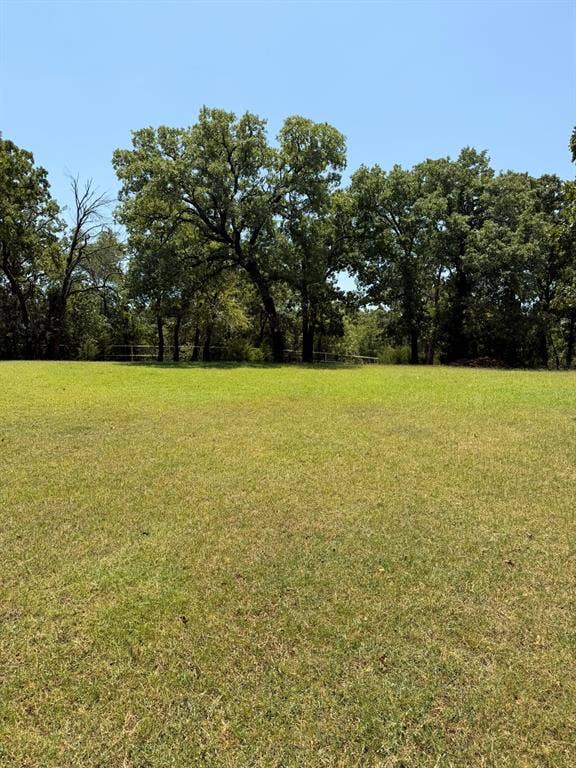 2300 Spring Mountain Road, Cross Roads, TX 76227 Expansive grassy area with mature trees forming a natural border
