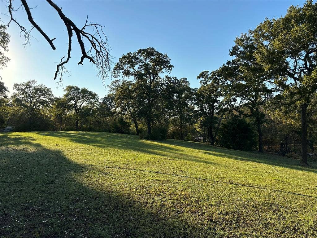 2300 Spring Mountain Road, Cross Roads, TX 76227 Expansive grassy yard with mature trees