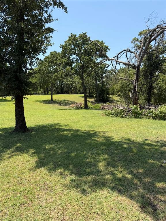 2300 Spring Mountain Road, Cross Roads, TX 76227 Expansive grassy terrain with mature trees