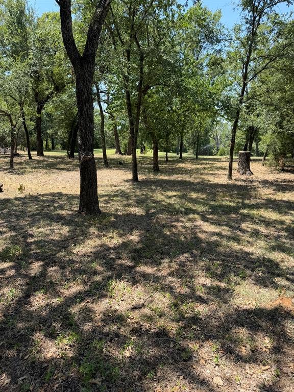 2300 Spring Mountain Road, Cross Roads, TX 76227 Expansive lot featuring mature trees and natural ground cover
